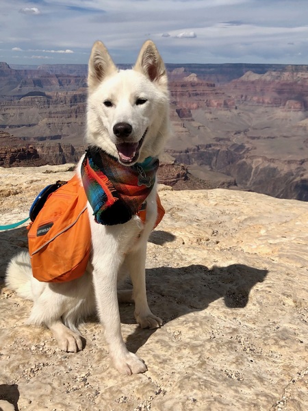 Entry image for Casper . Clicking this image will show a larger photo