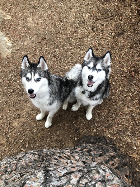 Entry image for Balder and Freya. Clicking this image will show a larger photo
