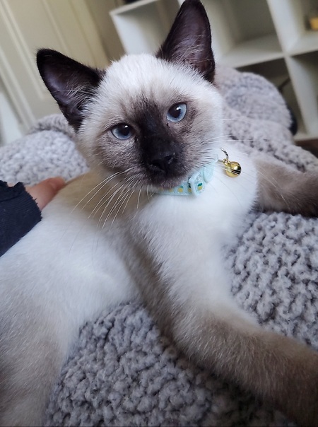 Leroy