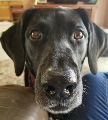 Jake