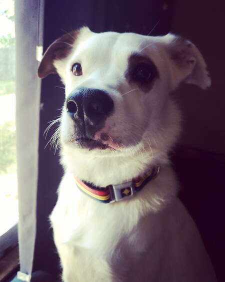 Howie 