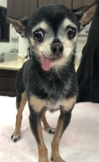 Bella