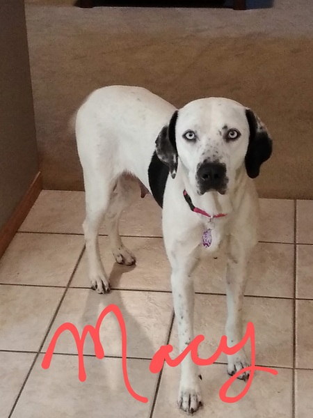 Macy