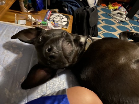 Zeus 