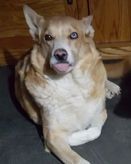Toby
