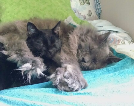 Fluffy