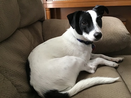 Minnie
