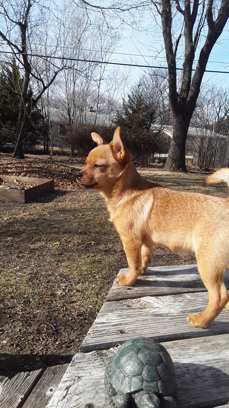 Rudy 