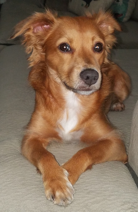 Charlie 