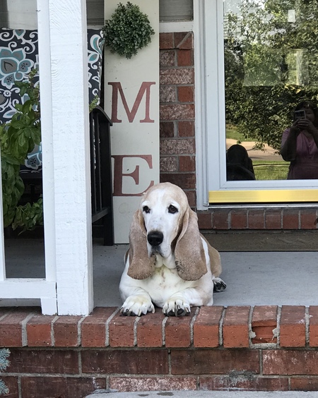 Gus