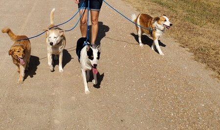 The Boys