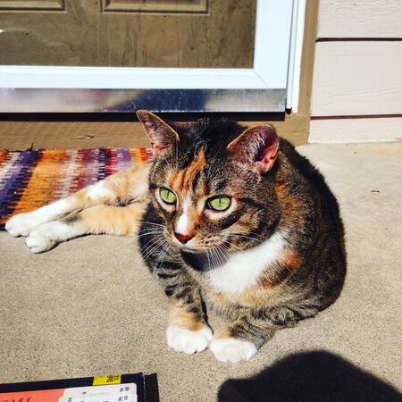 Princess