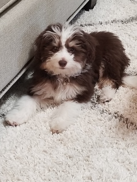 Rudy