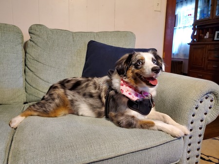 Nellie Belle