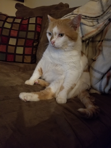 Charlie