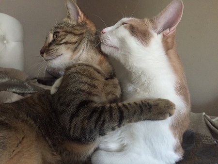 Tootles & Charlie