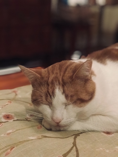Baxter