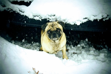 Hudson