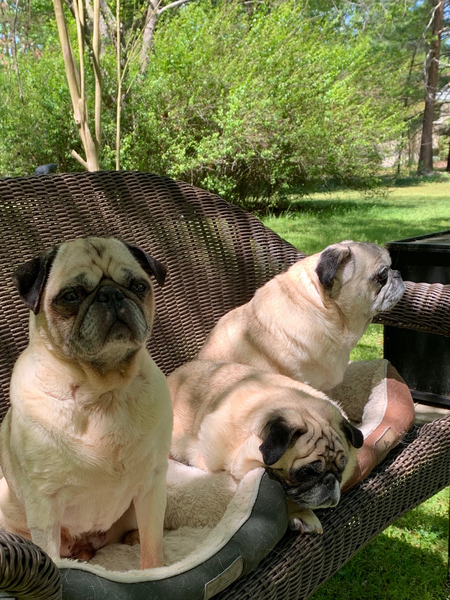Phil, Stella and Liza