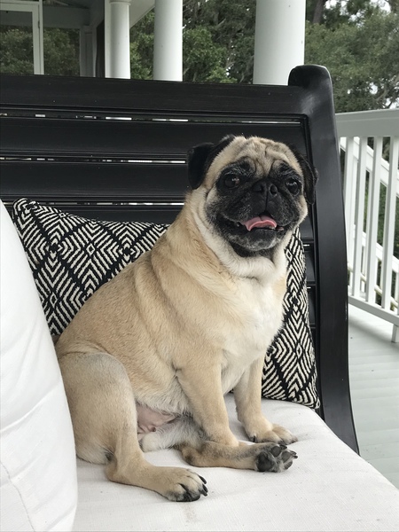 Ellie