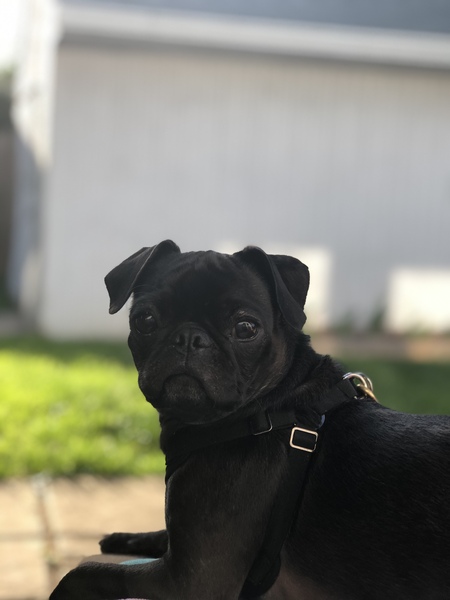Coco