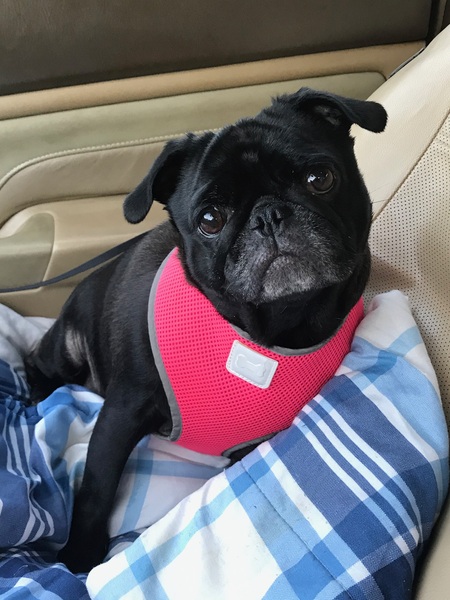Chloe