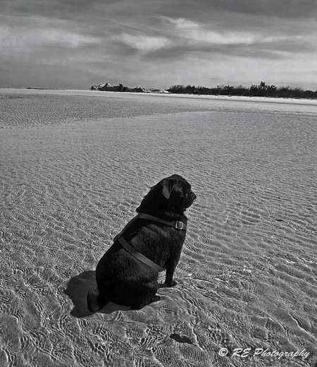 Onyx