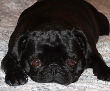 Cooper 