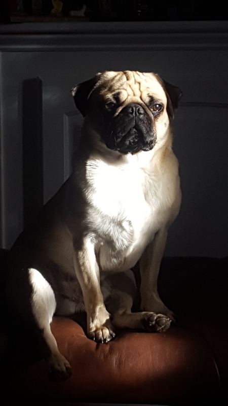 Prince