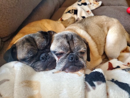 Cosmo and Sam