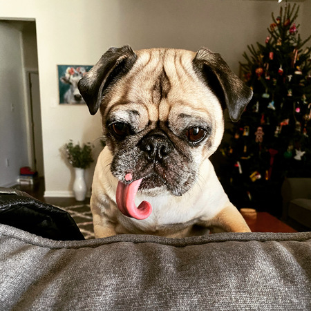Tugger