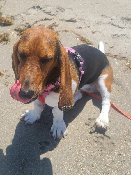 Maggie Mochre