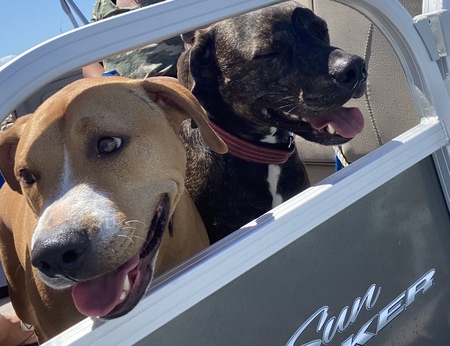 Boomer and Groot