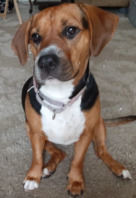Roxy 