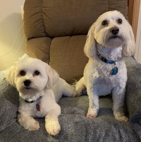 Olaf and Snoopy