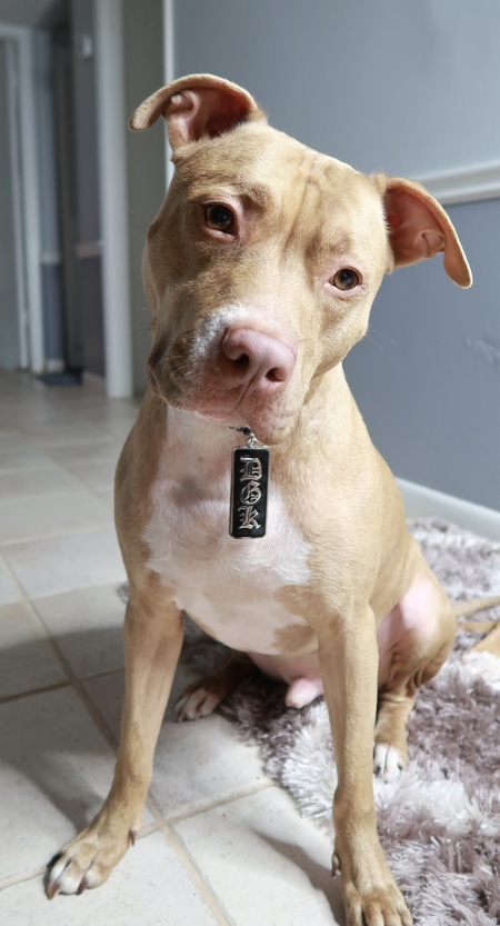 Jax