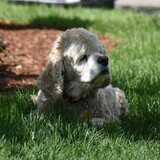 Entry image for Maggie