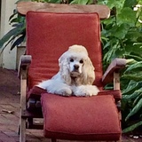 Entry image for Sophie 