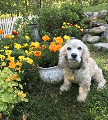 Chloe