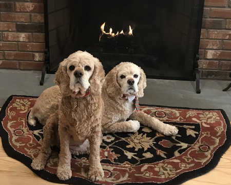Entry image for Max & Angie. Clicking this image will show a larger photo