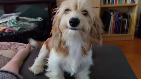 Matilda