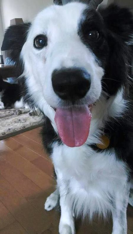 Finn