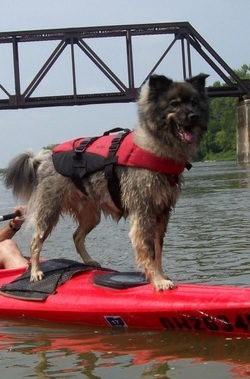 Dakota