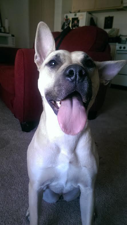 Xena