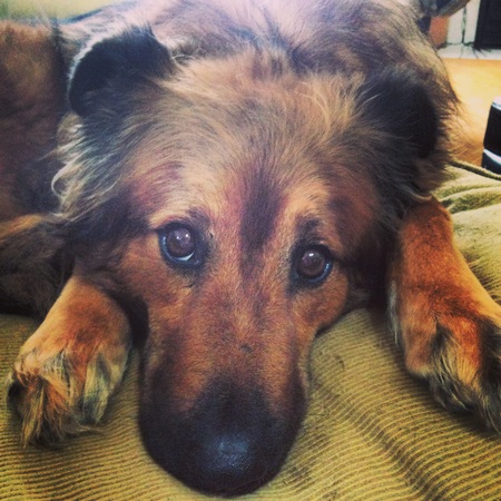 Sadie
