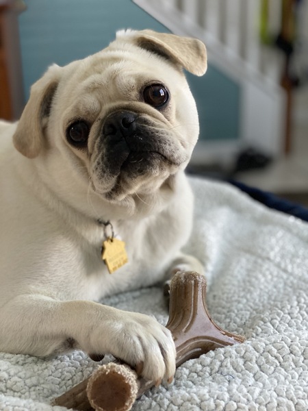 Milo