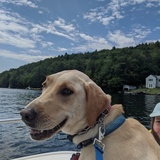 Entry image for Henry