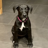 Entry image for Jasmine Grace