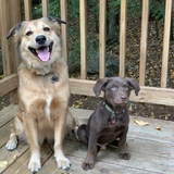 Entry image for Sadie and Phil