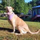 Entry image for Sandy